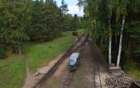 Железная дорога в сосновом лесу